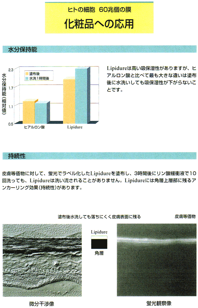 �q�g�̍זE60���̖����s�W���A�Ŕ��V�b�g��