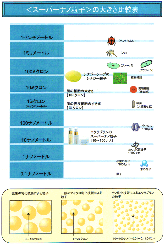 �d�q�������ł������Ȃ��i�m�̐��E