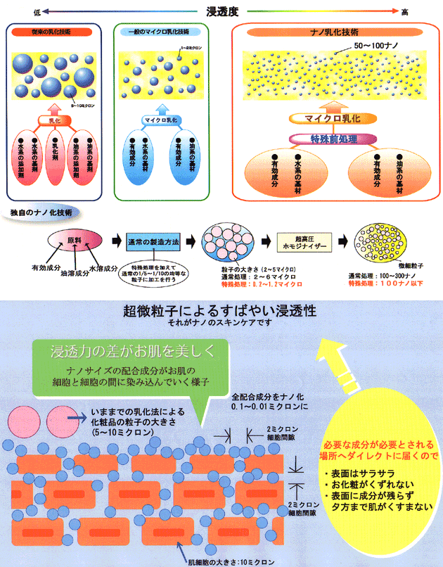 �������q���ƁA���̉��܂ŗL���������S���͂�